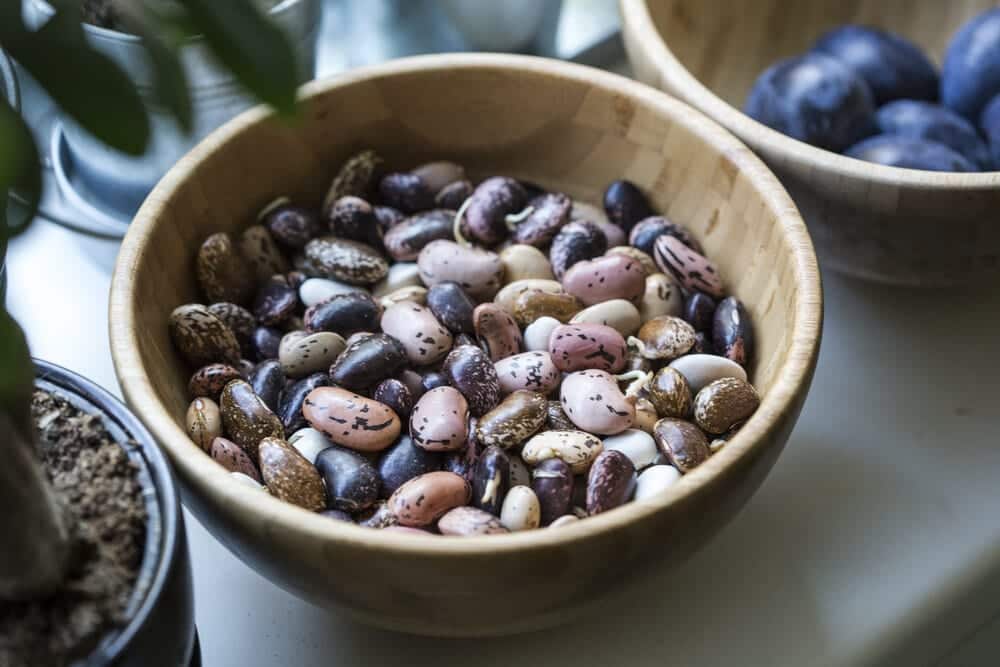 bowl of a variety of uncooked beans