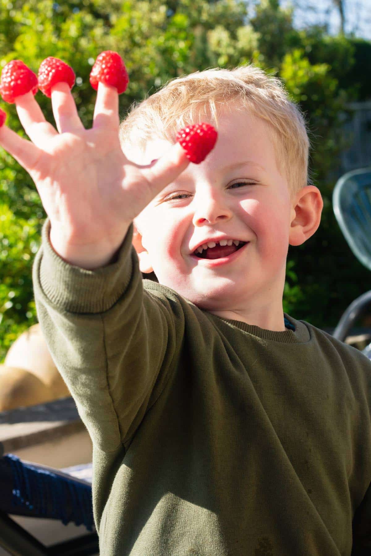 Little boy smiling, holding up his hand with raspberries on his finger tips. 