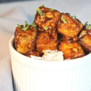 Close up of sticky tofu in a white bowl on rice