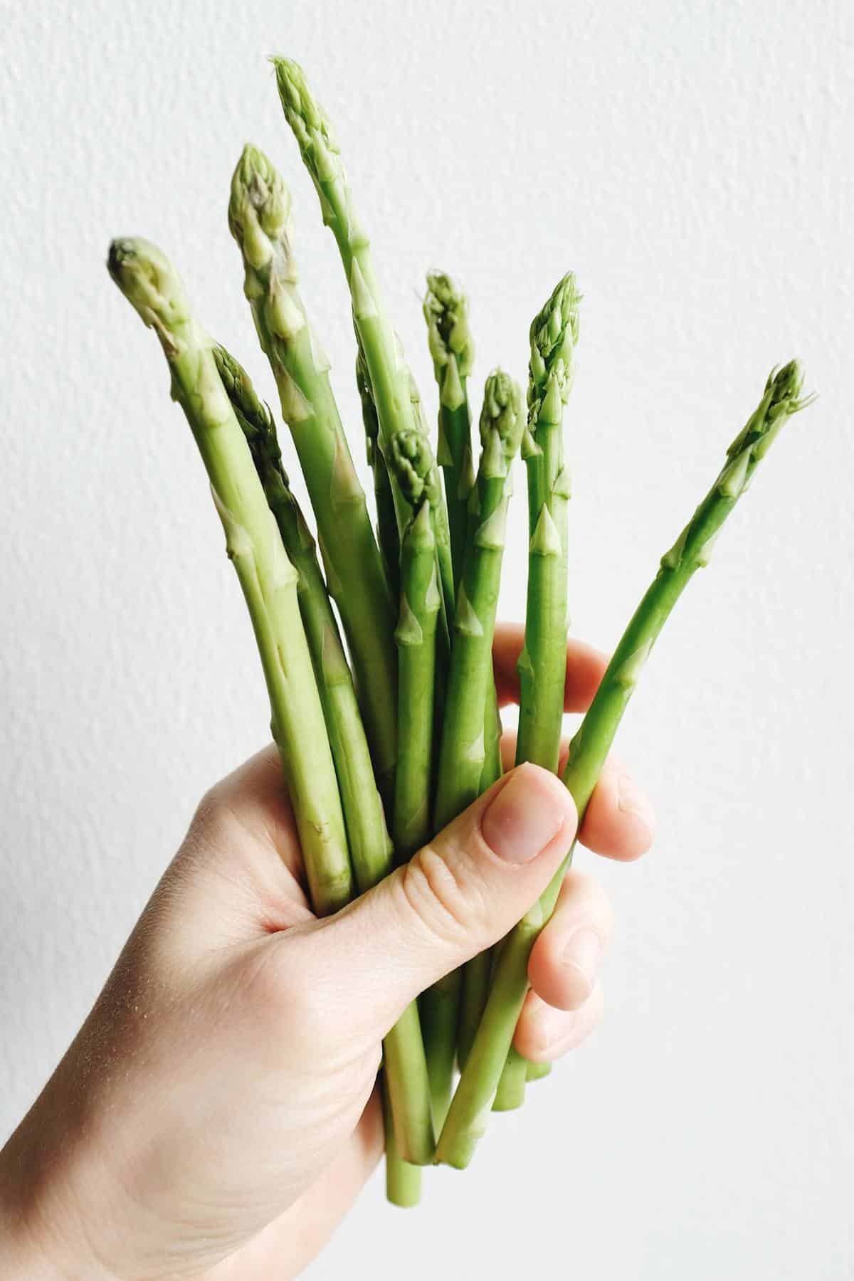Hand holding a bunch of asparagus.