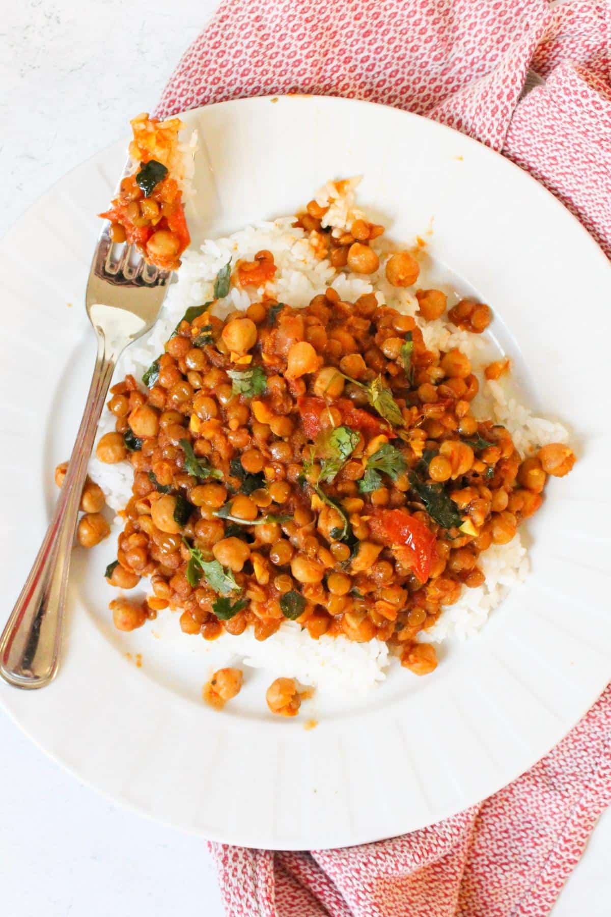 chickpea lentil curry on a plate