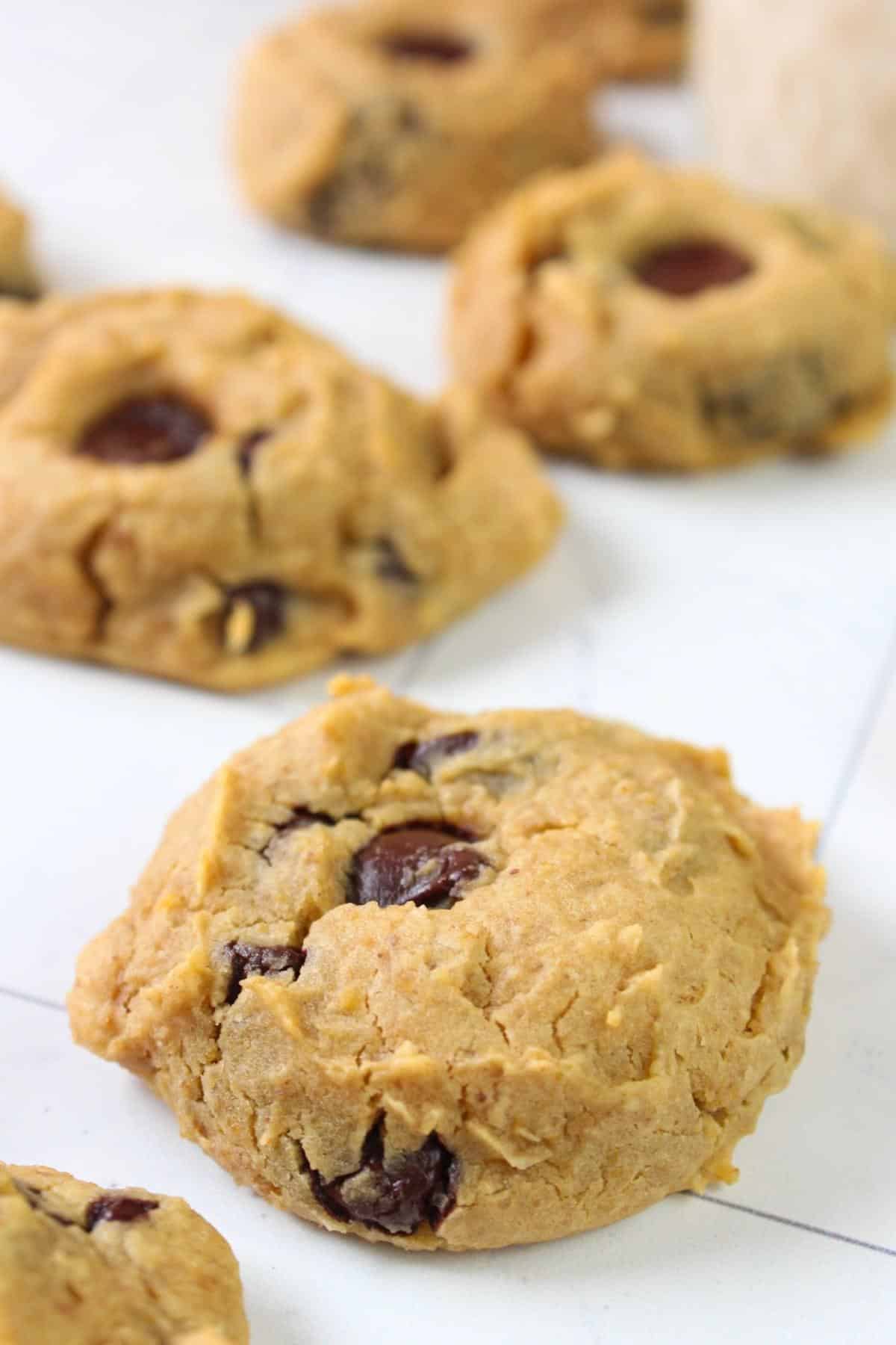 Close up of chickpea chocolate chip cookie