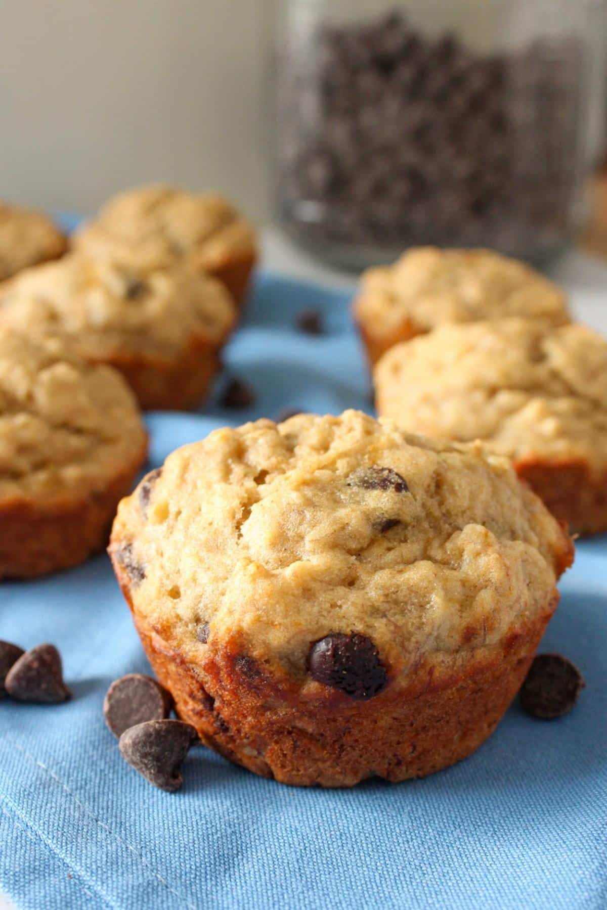 Close up of vegan banana chocolate chip muffins on a blue napkin