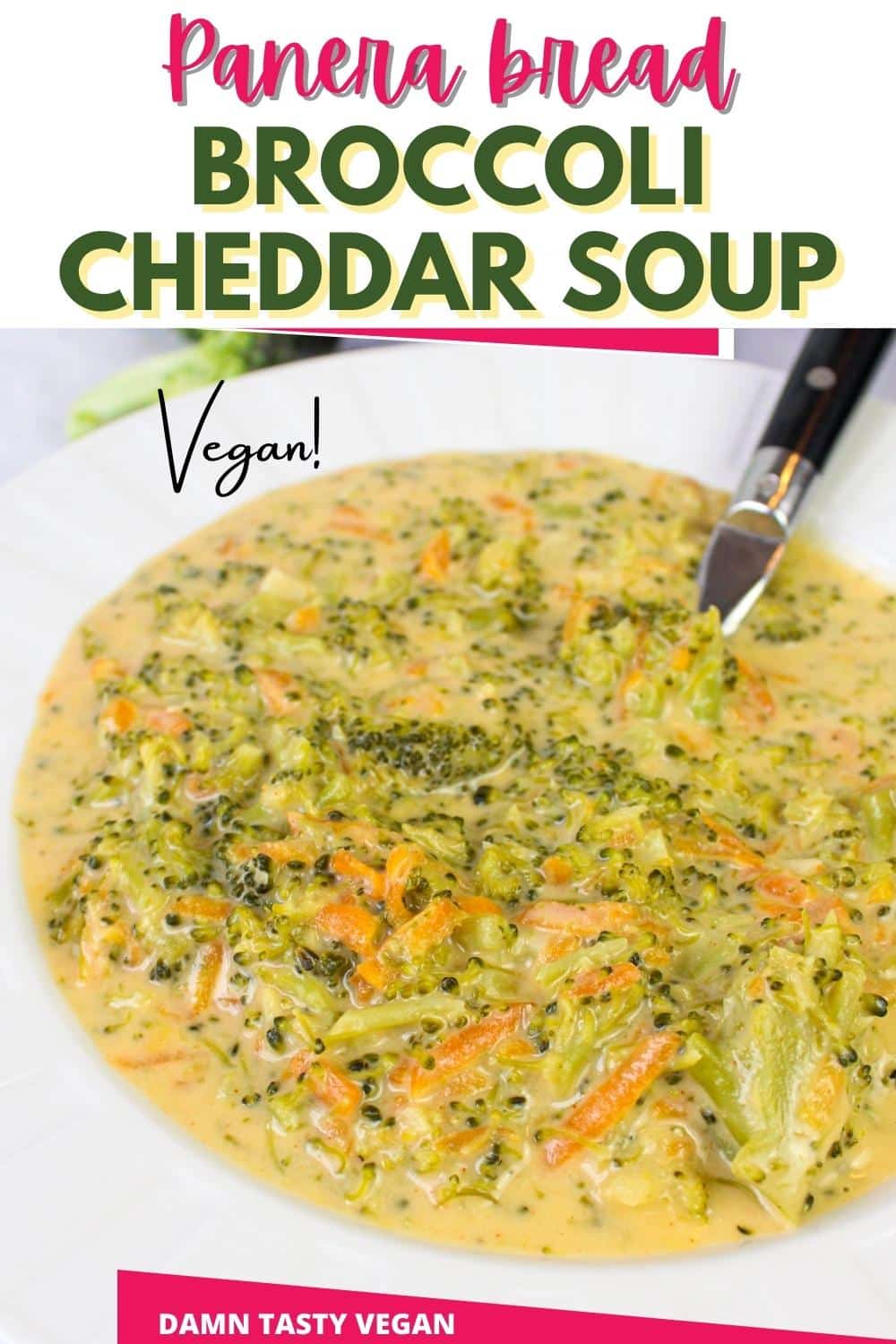 Vegan broccoli cheddar soup Damn Tasty Vegan