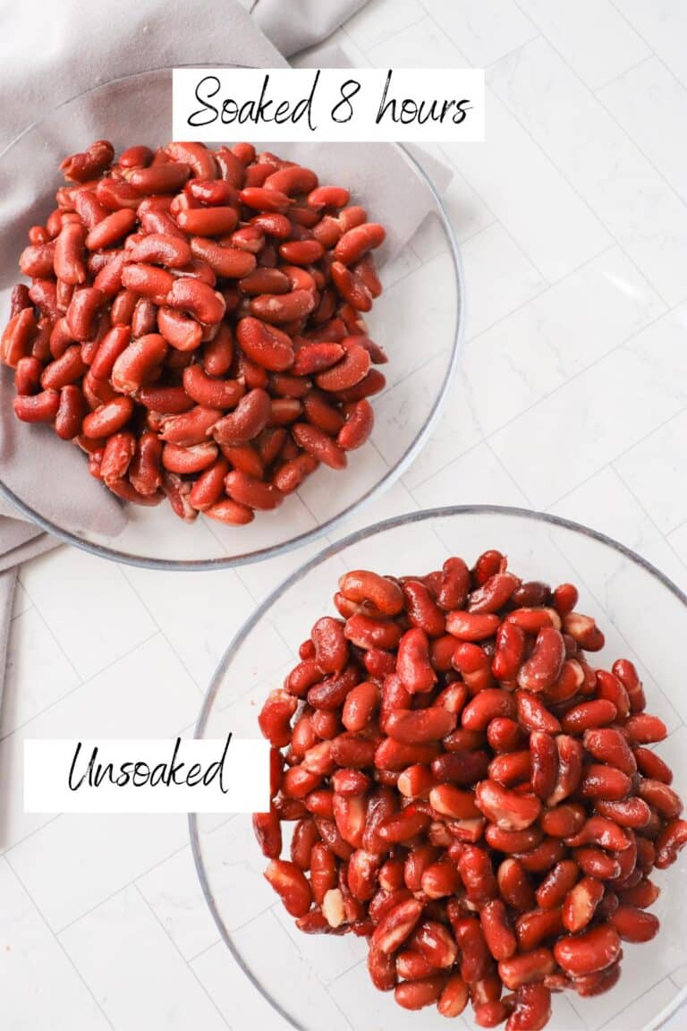 How to cook kidney beans in the instant pot Damn Tasty Vegan