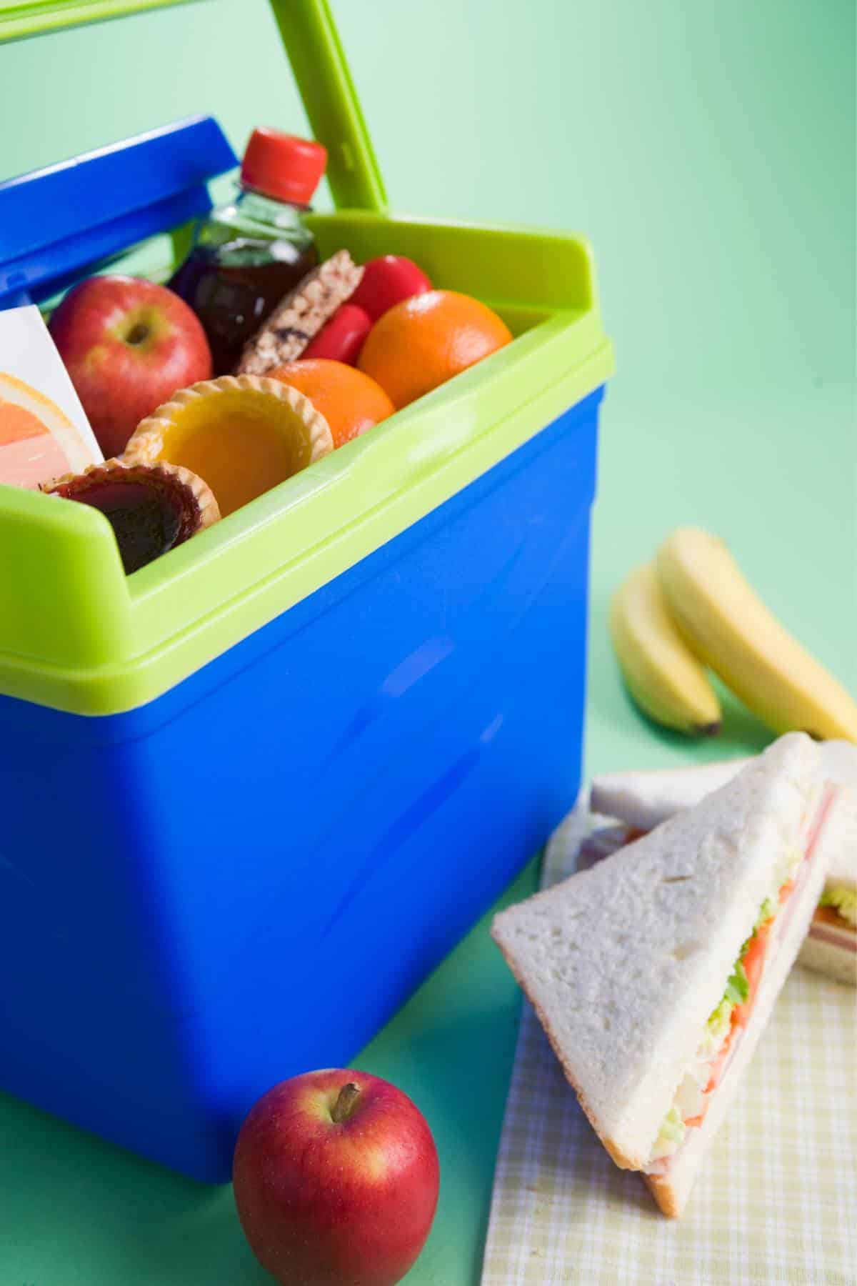 A blue cooler packed with fruits, vegetables and sandwiches