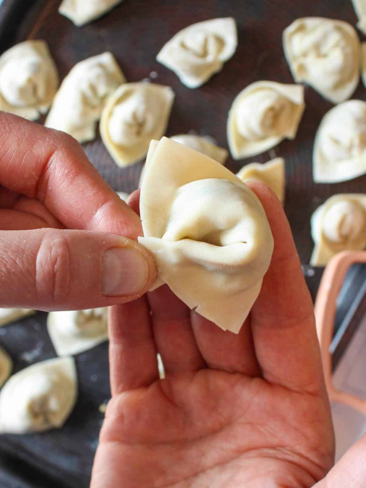 Hand pinching together ends of a vegan dumpling.