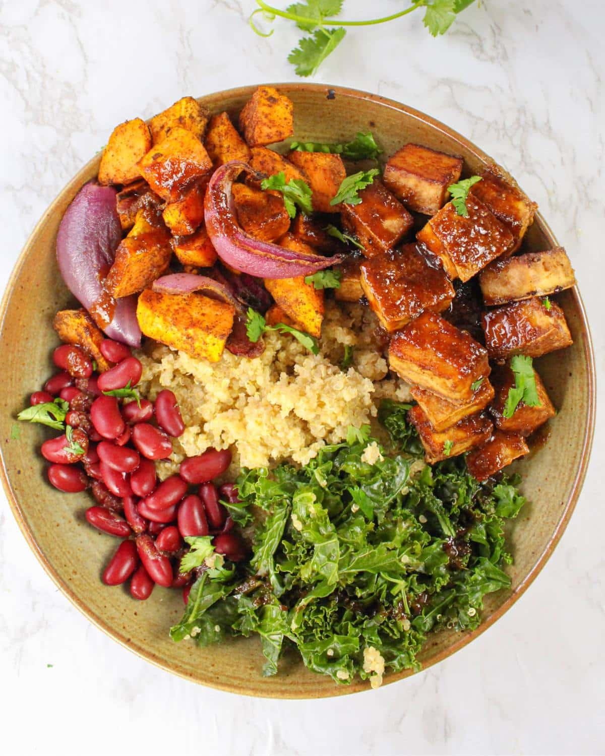 Overhead view of vegan tofu bowl with quinoa kale and kidney beans.