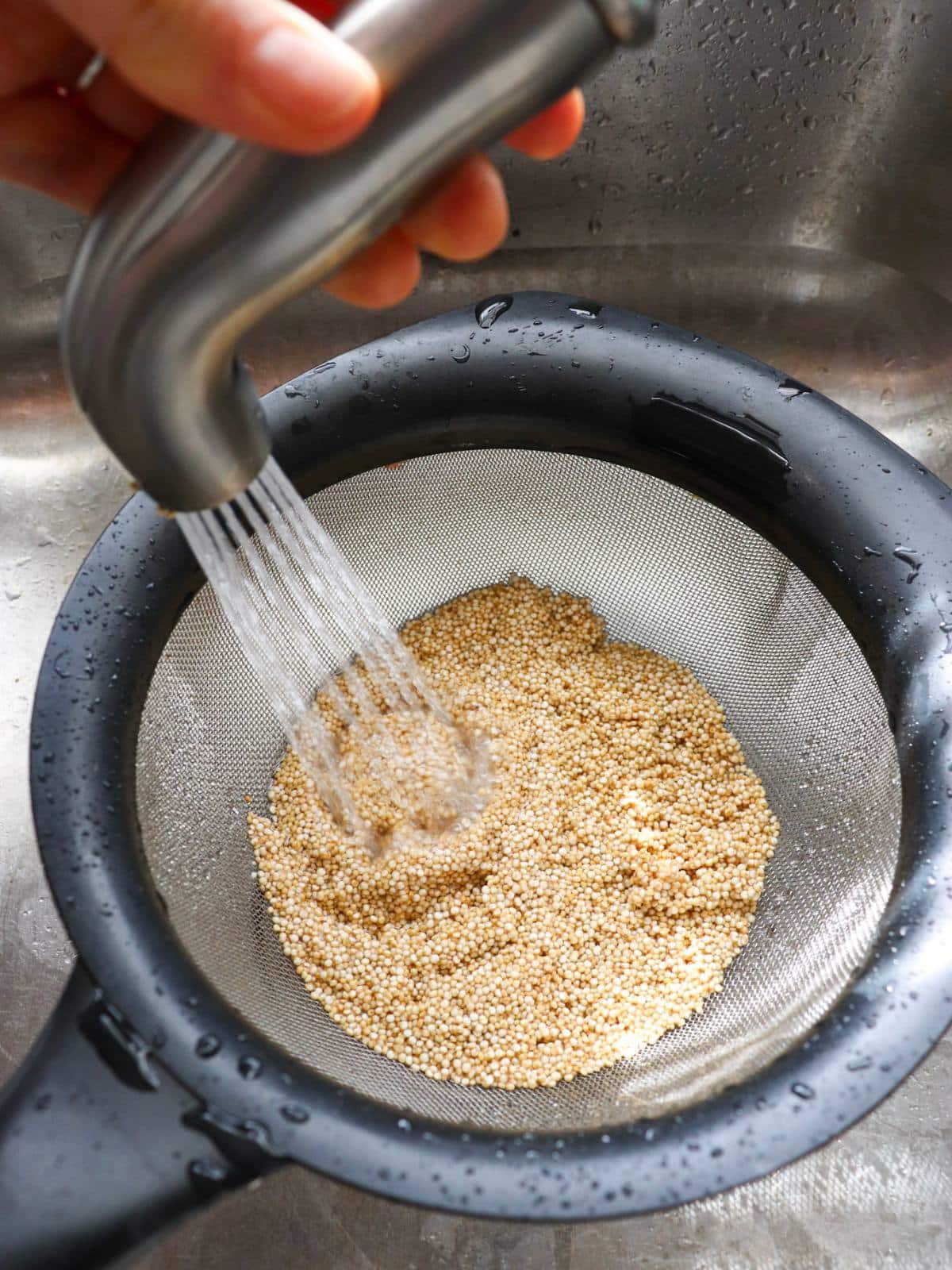 Quinoa in a fine mesh strainer getting rinsed in a sink.