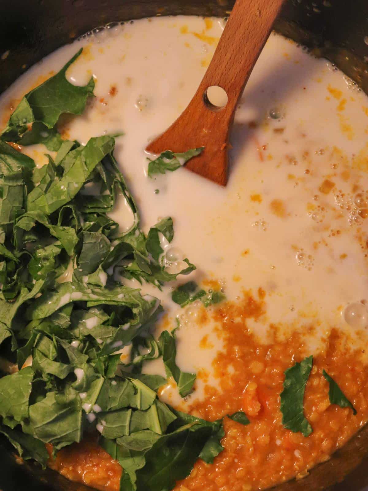 Coconut milk and kale getting added to a cooked red lentil curry soup.